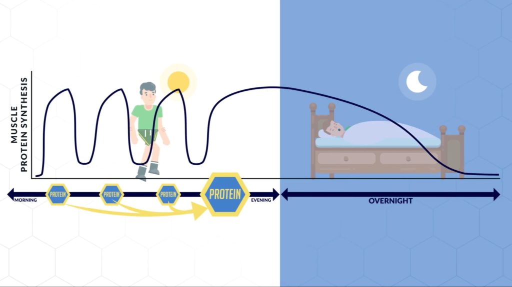 Consume 40g of protein before sleep for optimal muscle protein synthesis levels overnight