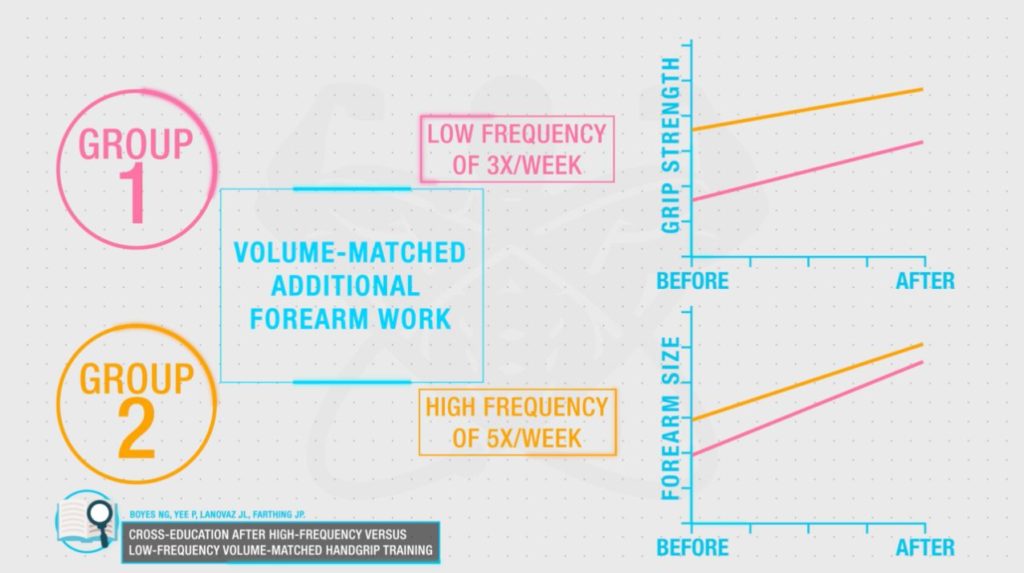 How to get bigger forearms frequency training