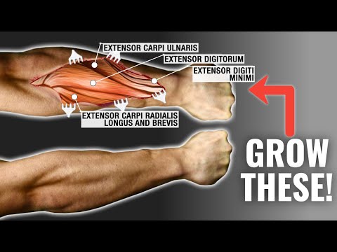 How To Get Bigger Forearms FAST (3 Science-Based Tips)