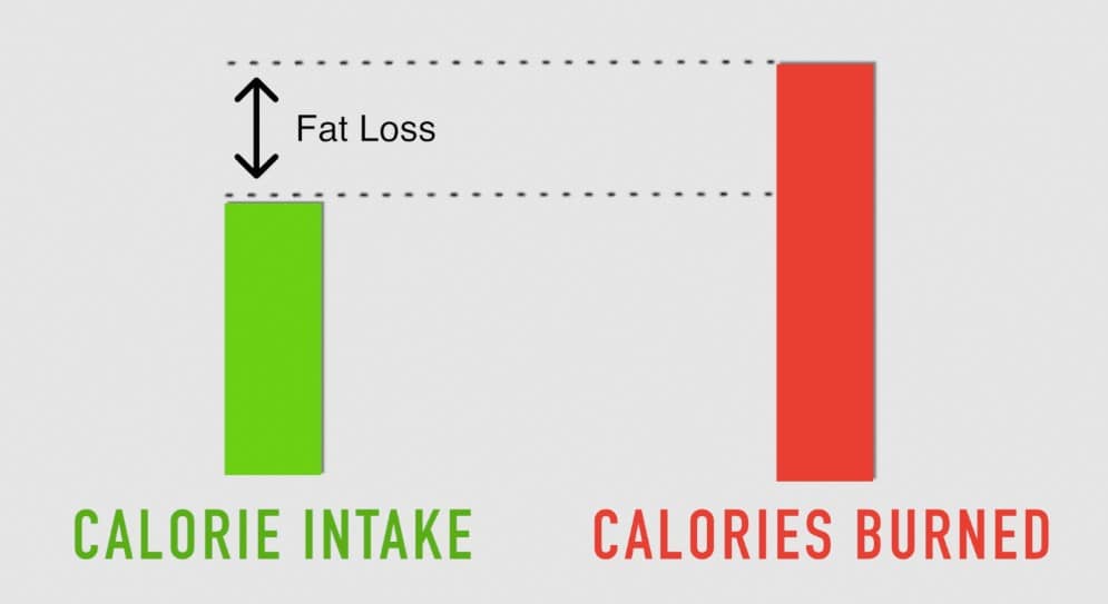 Calorie intake vs calories burned