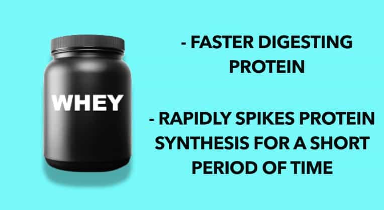 whey protein powder