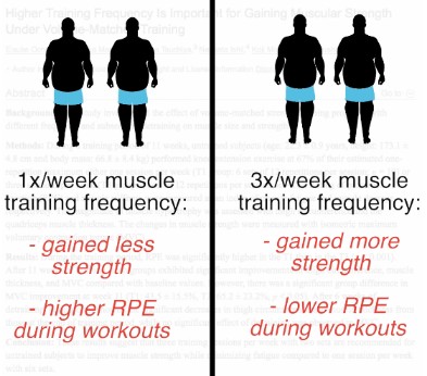 1 week 3 week training frequency