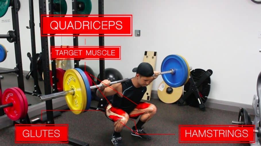 barbell back squat lower body exercise