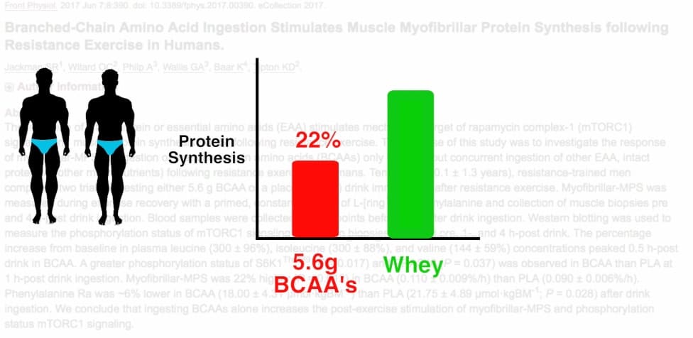 do bcaas work