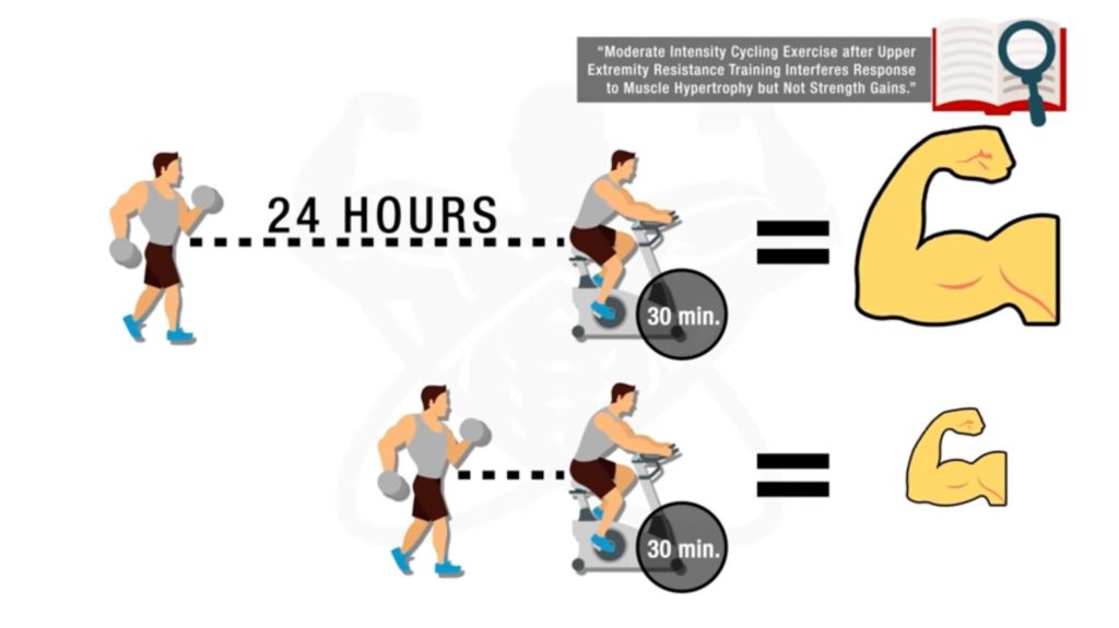 Study shows that you may expect cardio to burn muscle when the two are done in close succession