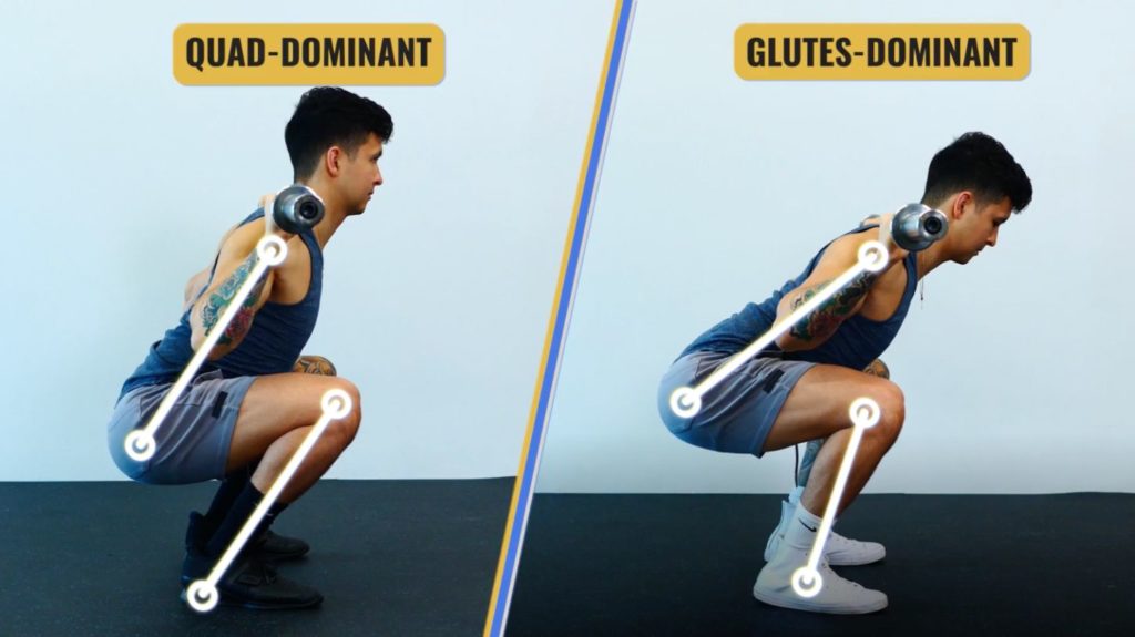 Torso and shin angle affects involvement of the quads and glutes