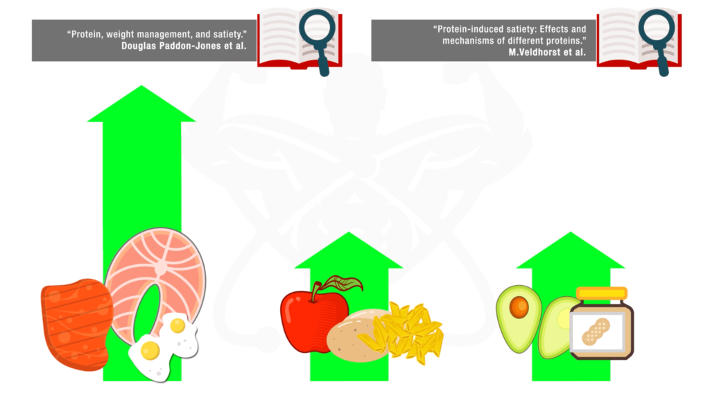 High protein diet for muscle gain and fat loss