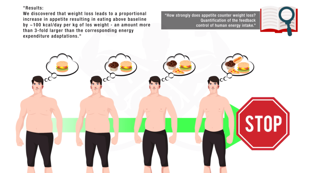 Appetite increases when body fat decreases