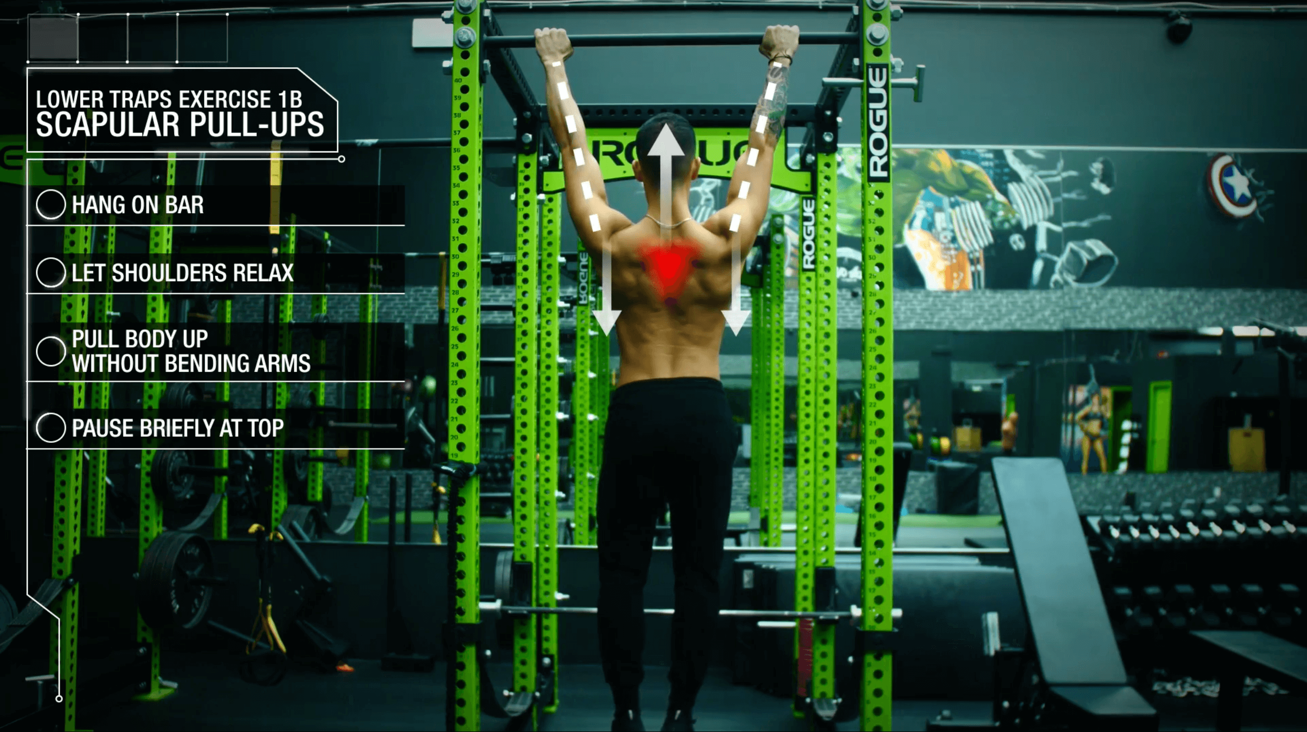 How to correct muscle imbalance lower traps scapular pull ups 2