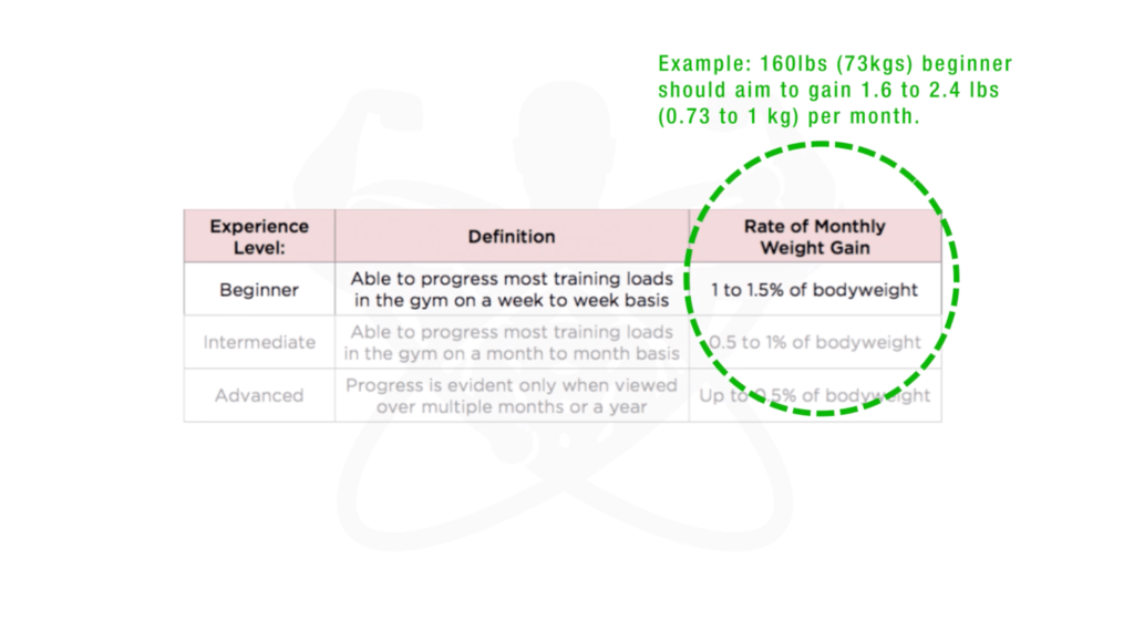 How to bulk up fast programming-min