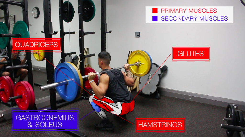 barbell back squat best leg exercise