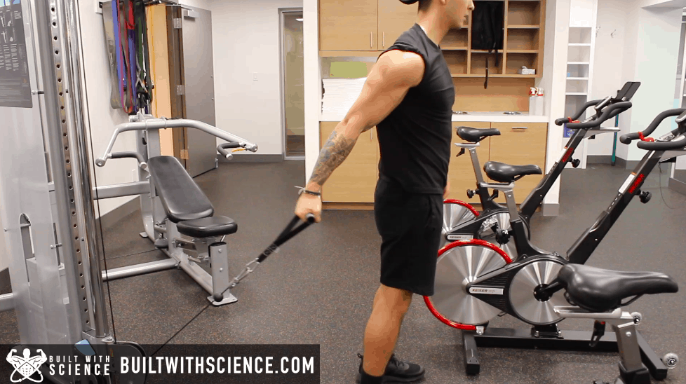 cable curls exercise