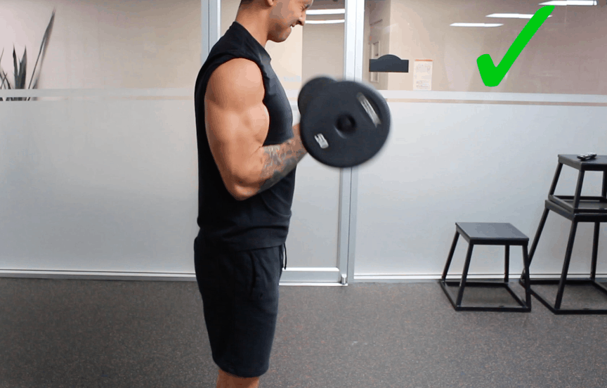 bicep curls correct form