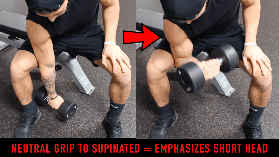 supination of wrists for bicep peak