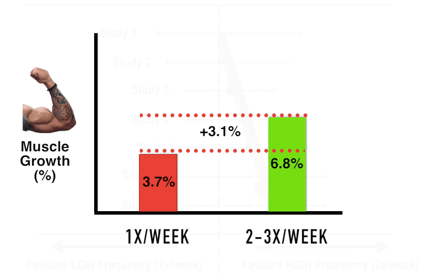 training frequency muscle growth