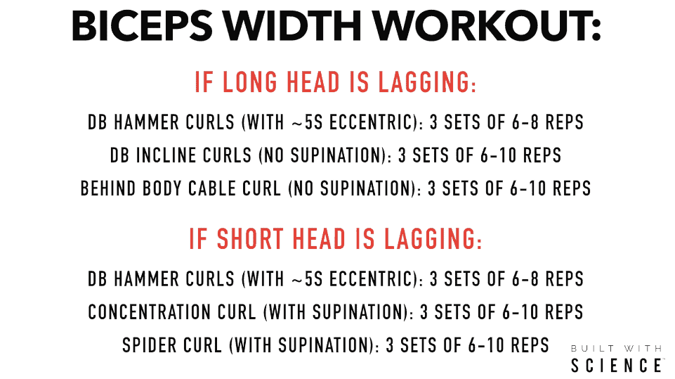 workout for wider biceps