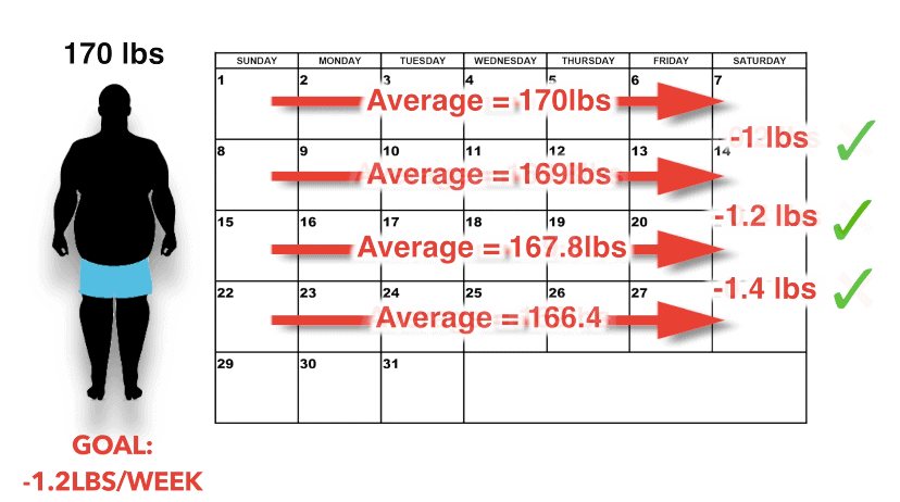 tracking weight progress