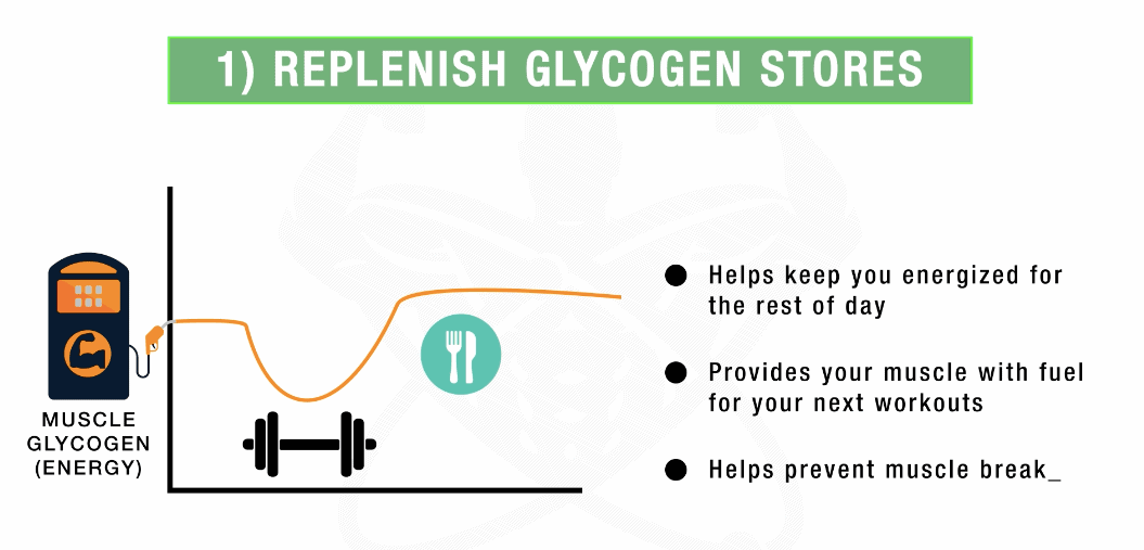 muscle glycogen