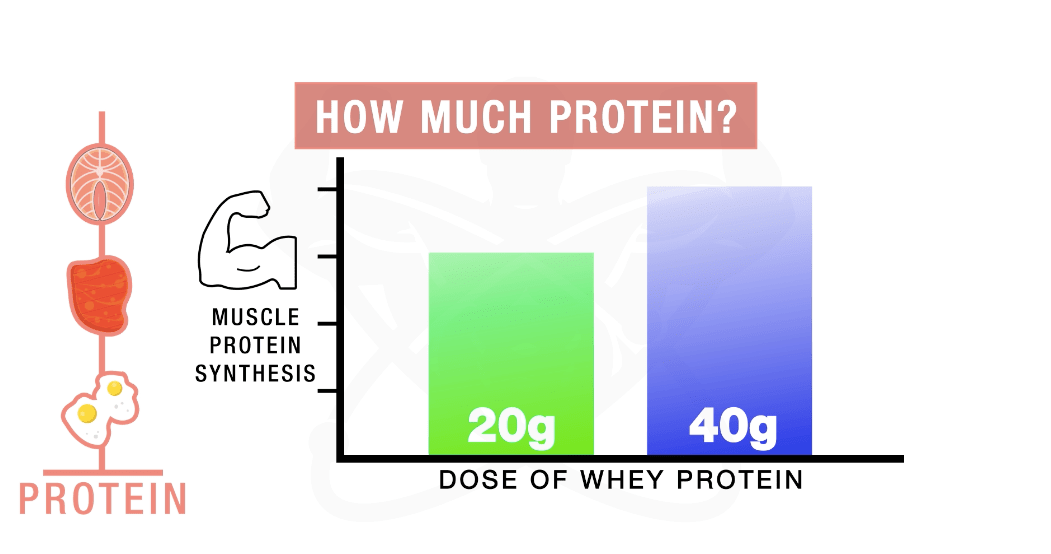 how much protein after workout