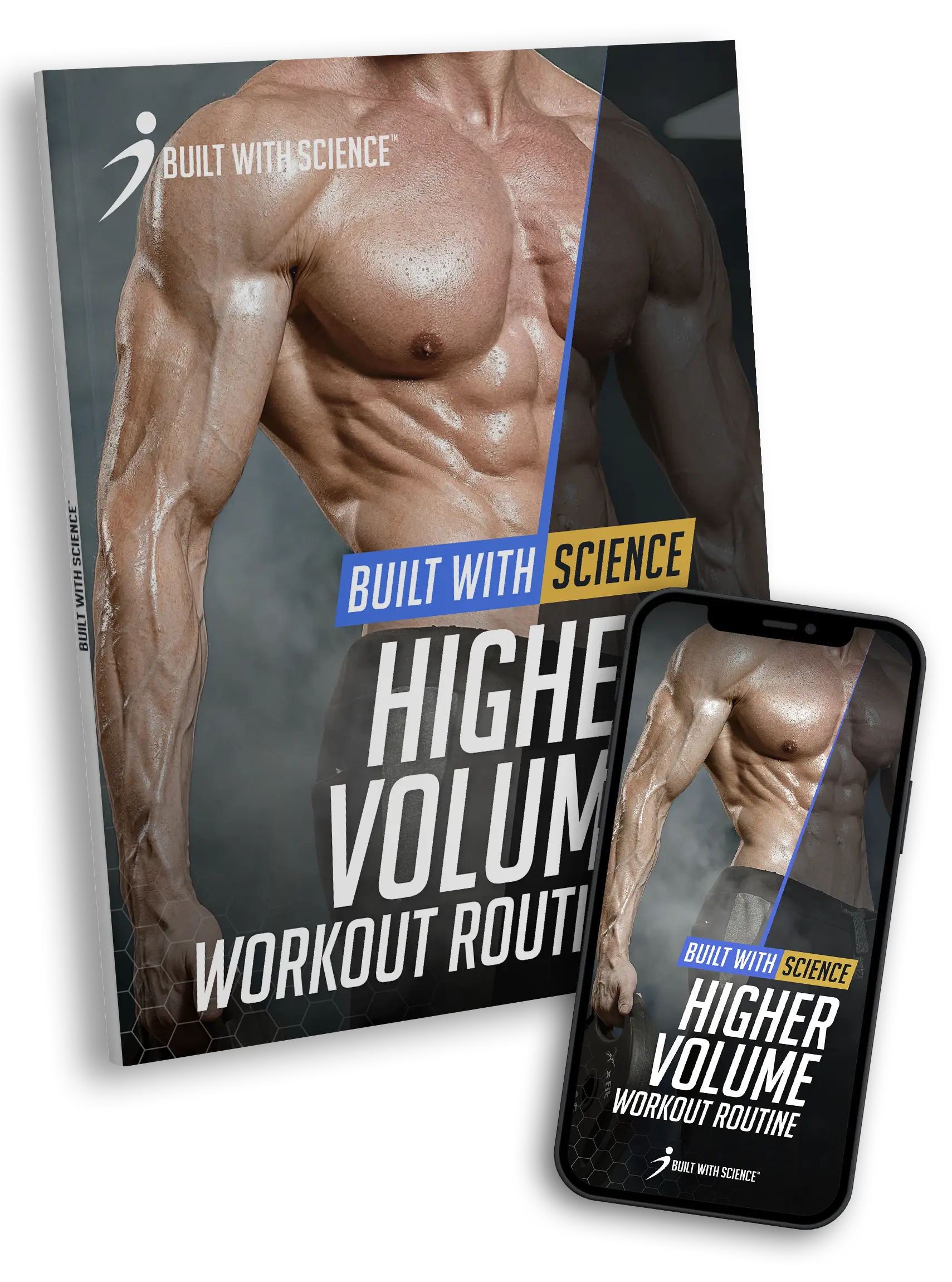 BWS Higher Volume Workout Routine