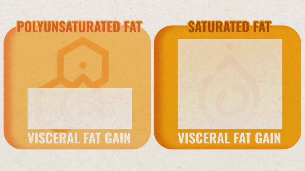 Eating more of polyunsaturated fats could help limit the amount of visceral belly fat