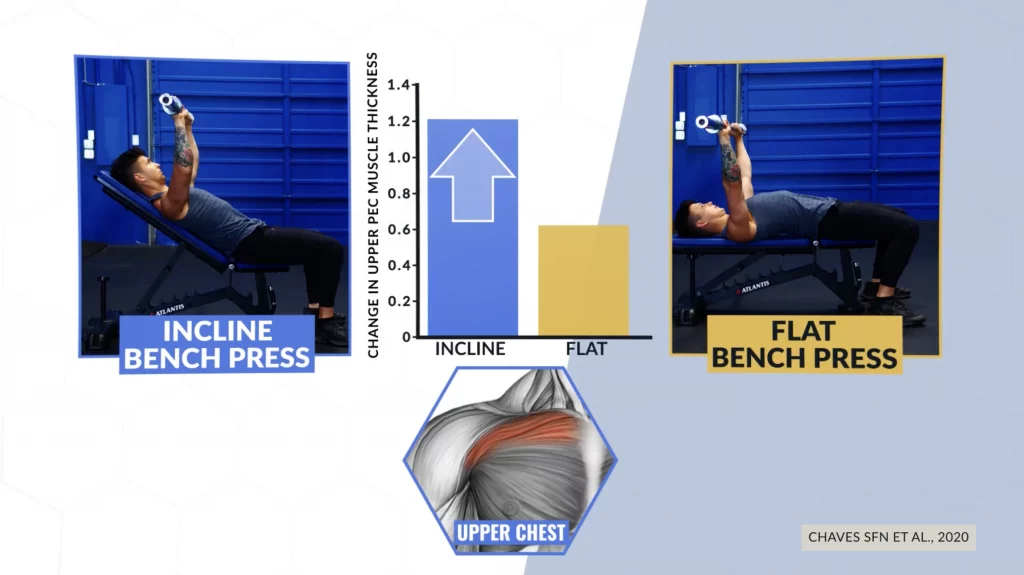 Incline dumbbell bench press for upper chest