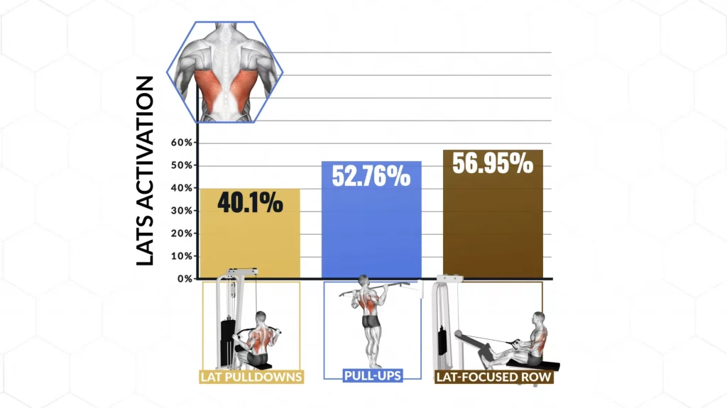 Lats activation on different exercises to use during back workouts