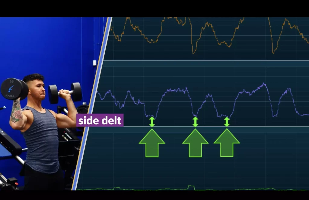 The best shoulder exercises side delts play a stabilizing role during overhead presses